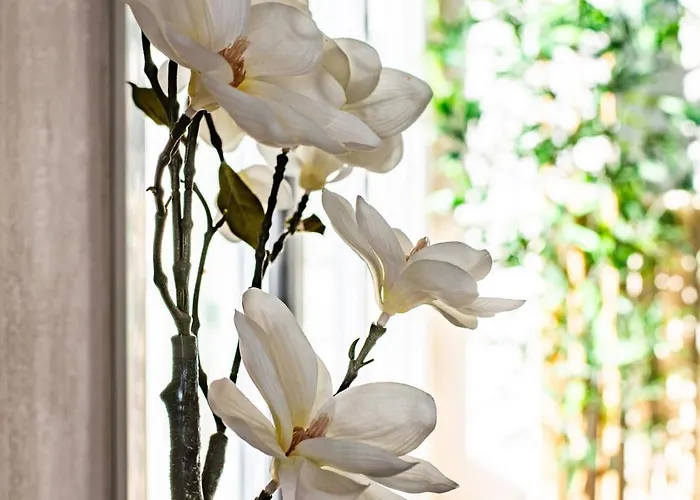 公寓 Le Chateaubriand - Parking - Netflix